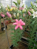 [5584 VH14 Twyford No01.JPG]